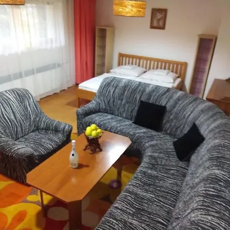 Apartment Apartman Skupova Jesenik